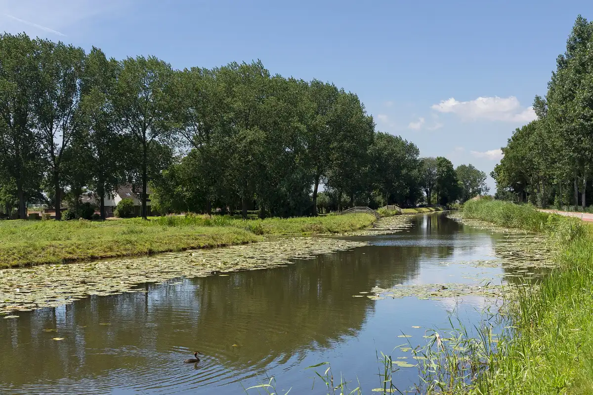 Angstelroute: de rivier de Angstel tussen Baambrugge en Loenersloot