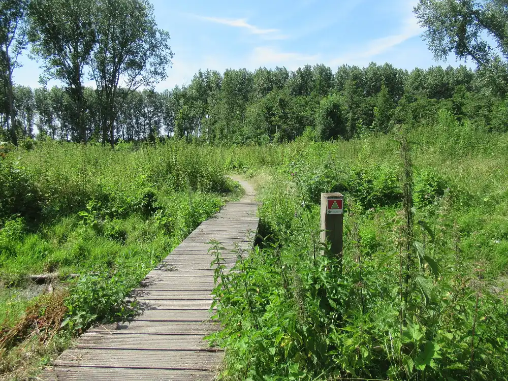 Broekpolder wandelen: wandelpad door de Broekpolder bij Vlaardingen