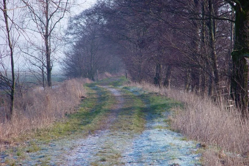 Cabauwse Jacobsroute: de achterkade in de Lopikerwaard waar de wandelroute langsloopt