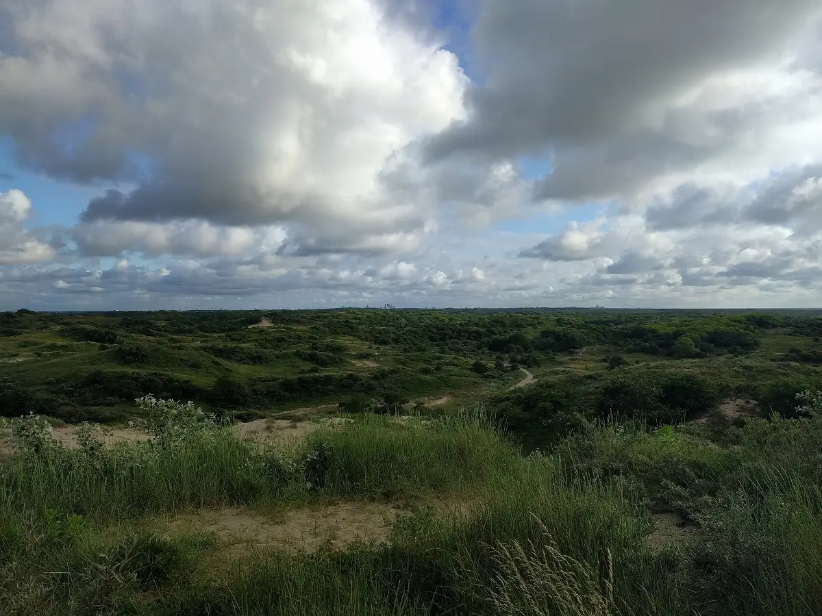 Katwijk aan Zee route: duinlandschap in de Zuidduinen bij Katwijk aan Zee