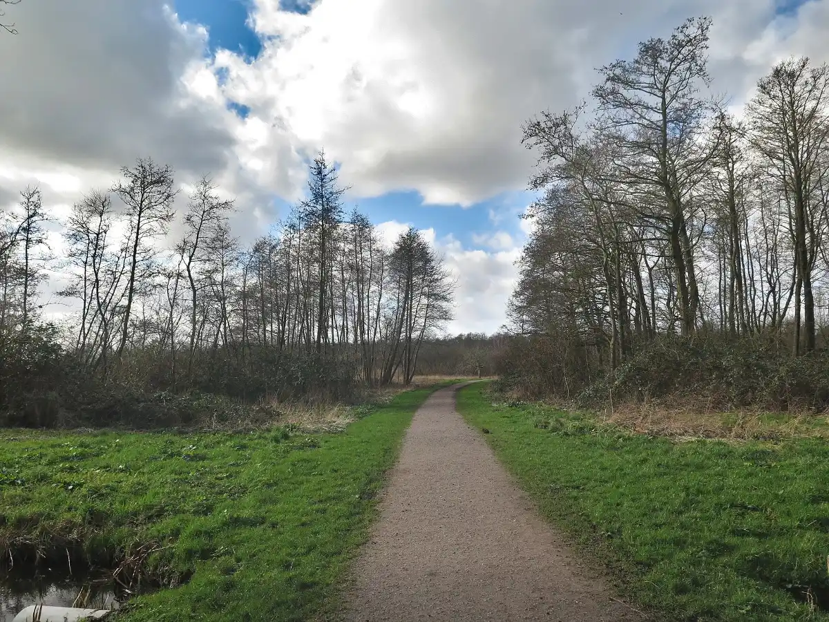 Loetbos: bospad in het Loetbos bij Lekkerkerk in de Krimpenerwaard