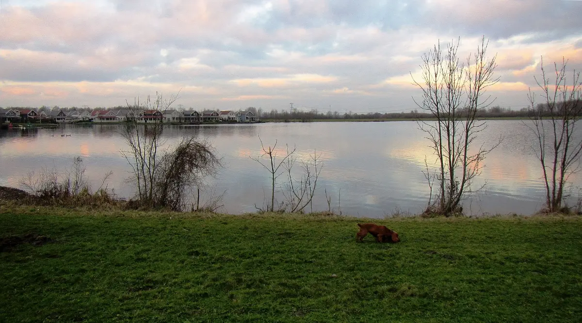 Spijkenisse route: de Bernisse, het water langs de routes bij Spijkenisse