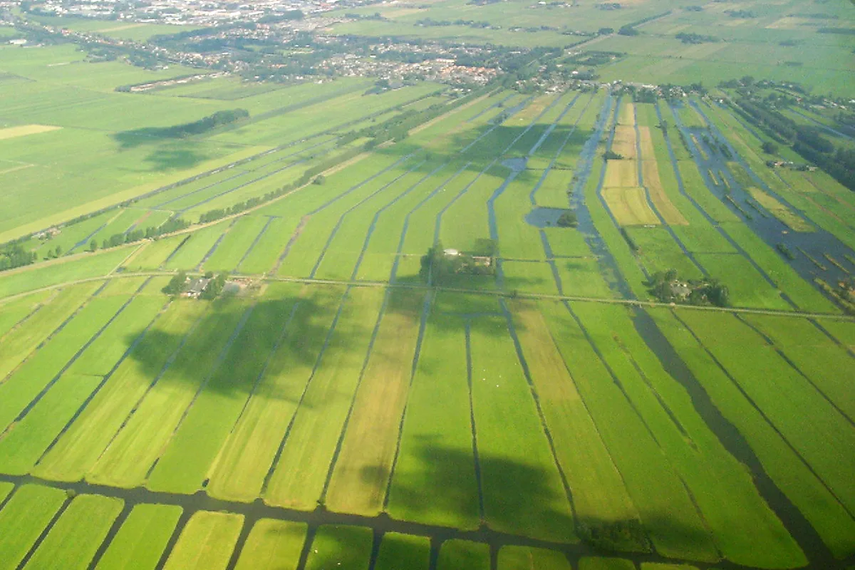 Spoordijkroute: de oude polder ten zuiden van Wilnis, waar de wandelroute doorheen loopt