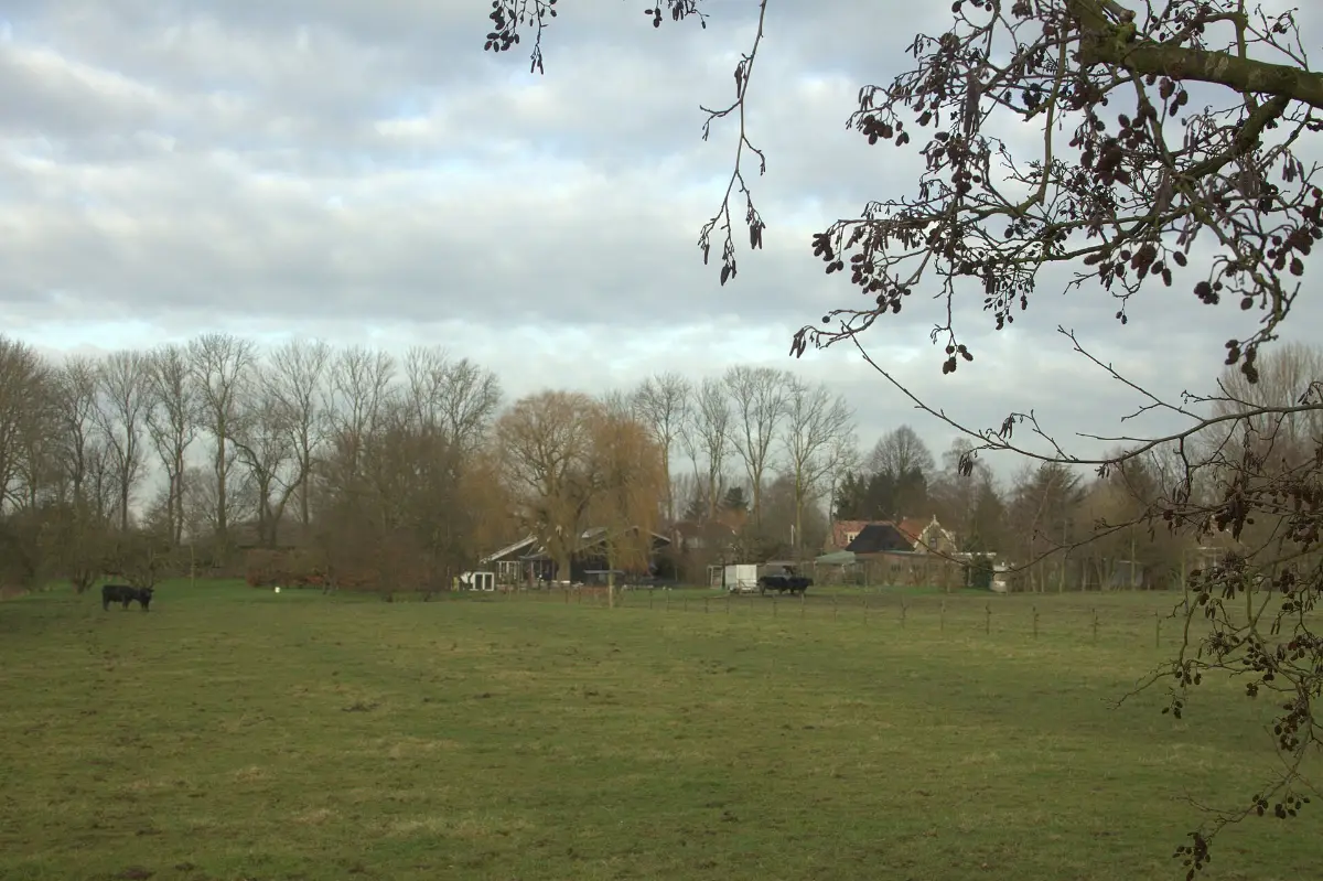 Wandelen Alblasserwaard: tiendweg door het polderlandschap van de Alblasserwaard