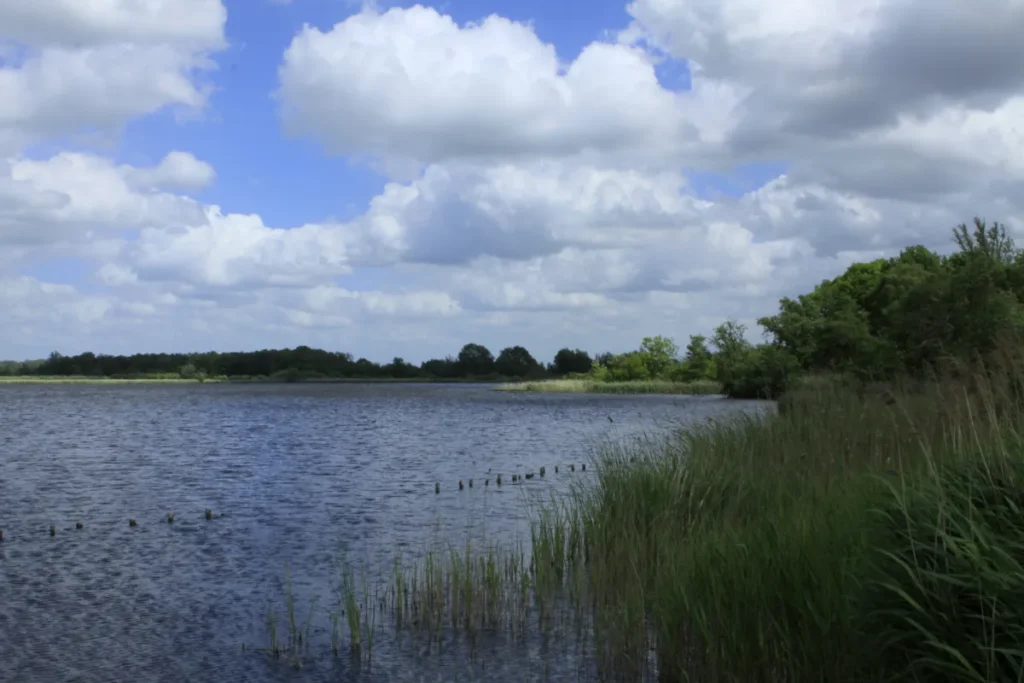 Wandelen Botshol: het natuurreservaat bij Vinkeveen, vlak bij TOP Winkelpolder