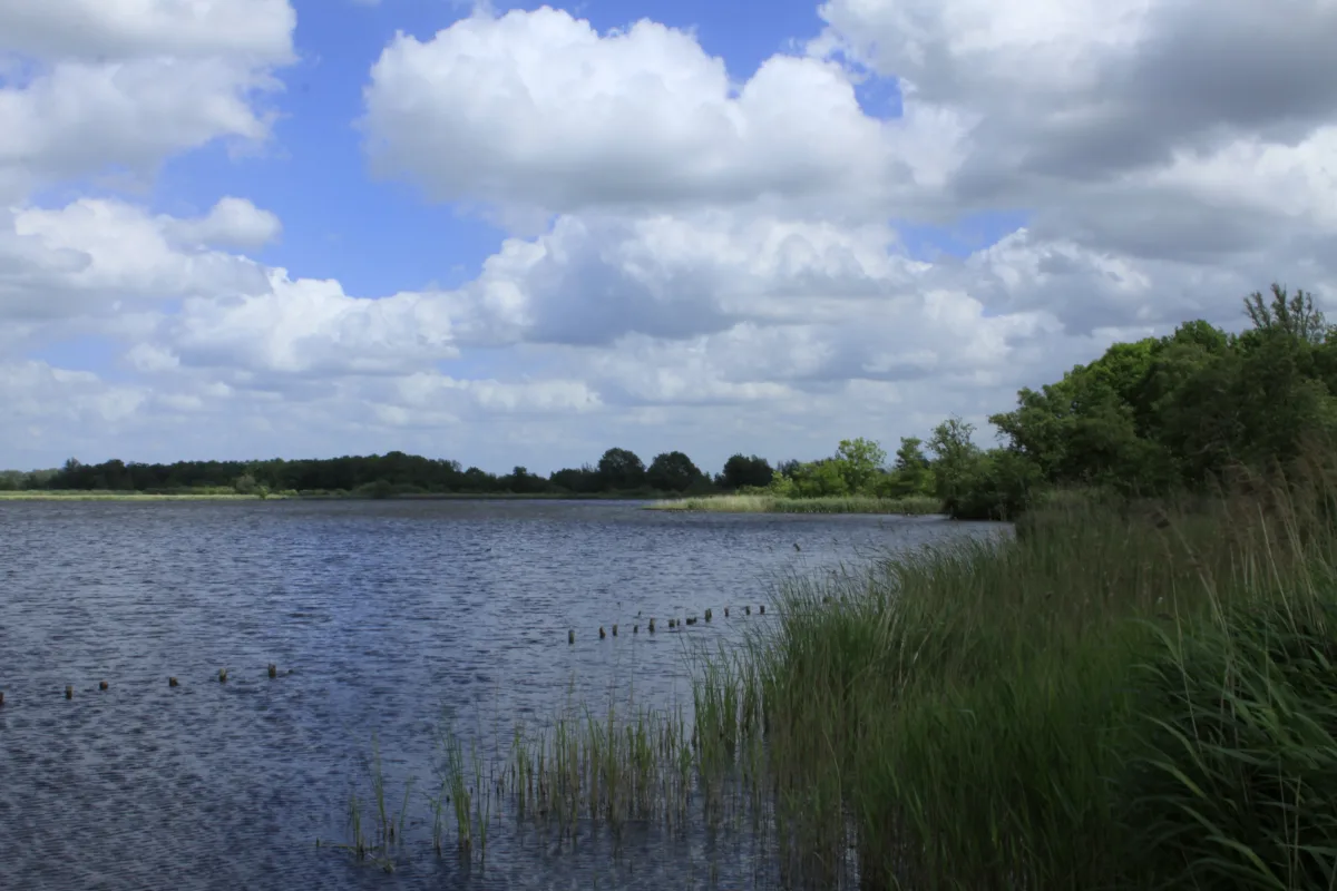 Wandelen Botshol: het natuurreservaat bij Vinkeveen, vlak bij TOP Winkelpolder