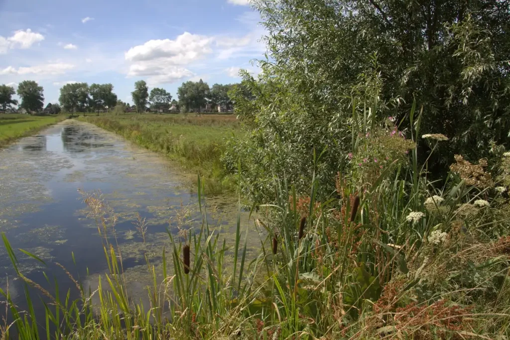 Wandelen Lexmond: natuurgebied in de Vijfheerenlanden bij Meerkerk