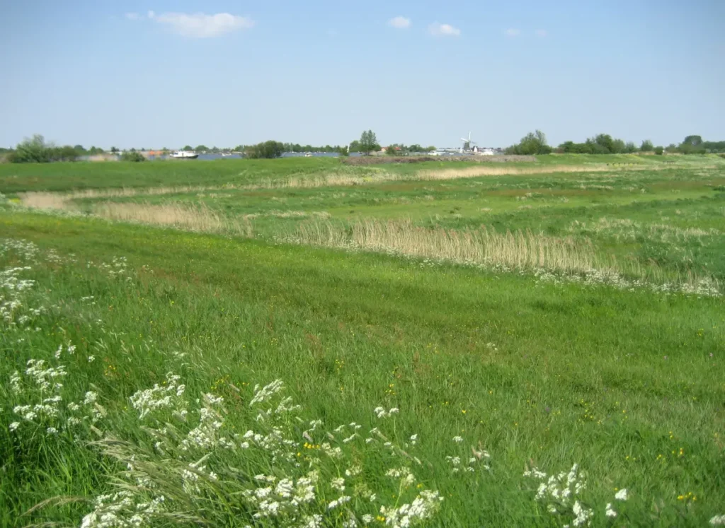 Wandelen Roelofarendsveen: het Braassemermeer bij Roelofarendsveen