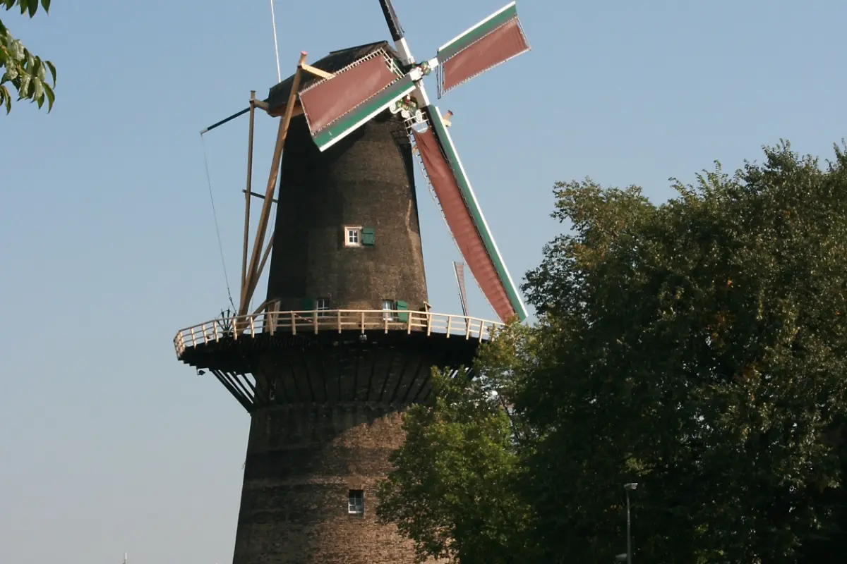 Wandelen Schiedam: een van de Schiedamse molens op de Parken- en Molenroute