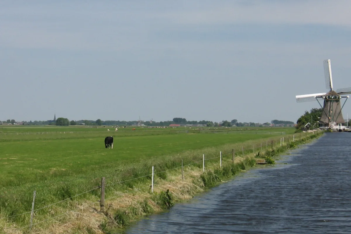 Zwammerdam: de molenviergang van Aarlanderveen, onderweg op de Molenviergangroute